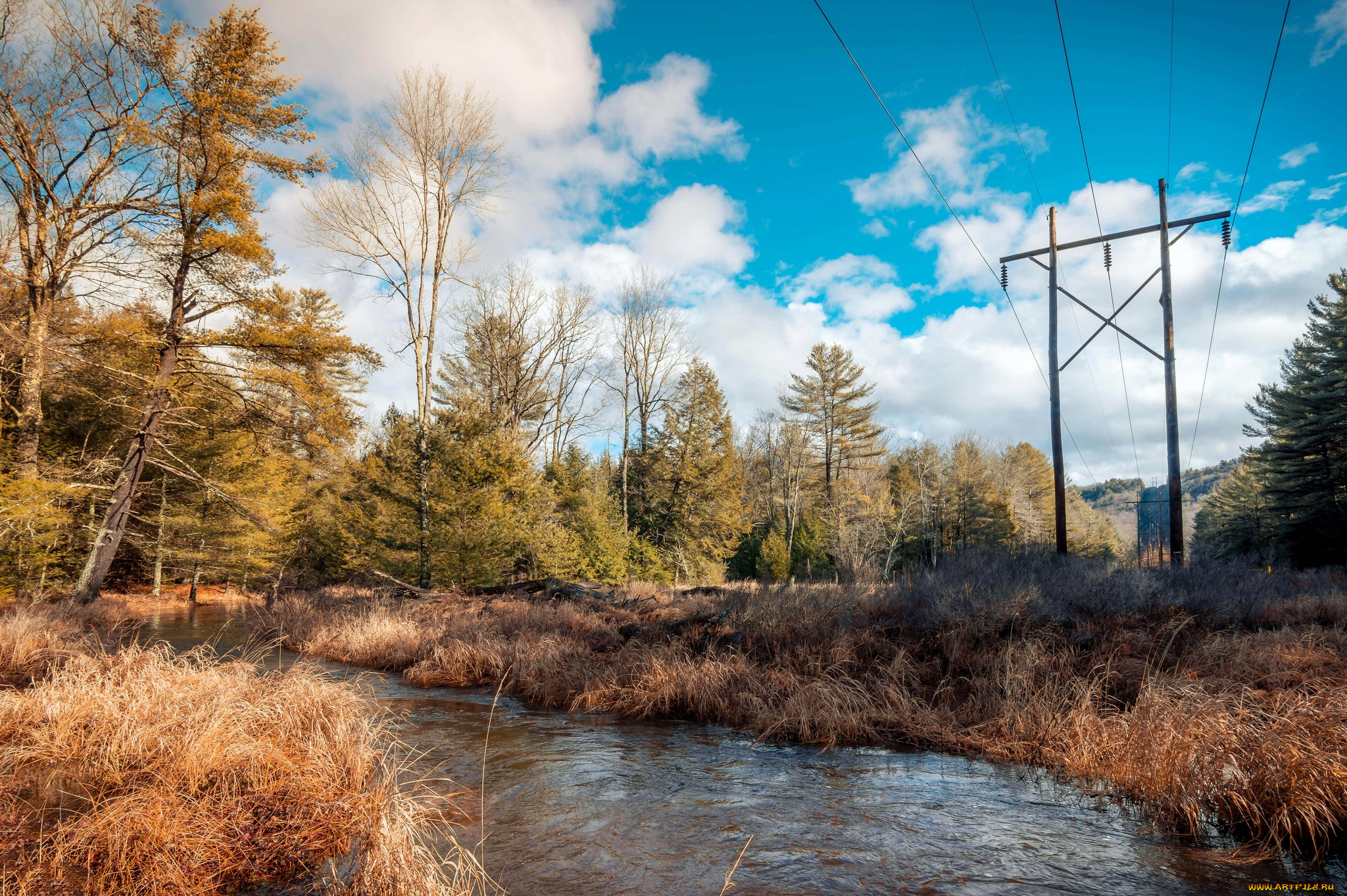 природа, реки, озера, река, лес