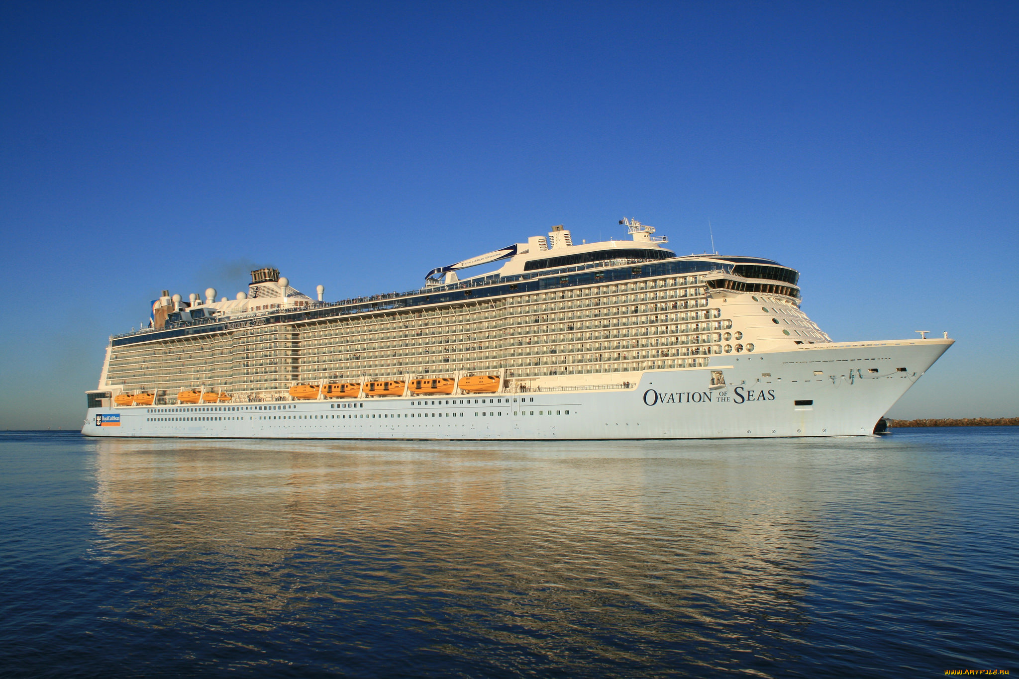 ovation, of, the, seas, корабли, лайнеры, круиз, лайнер