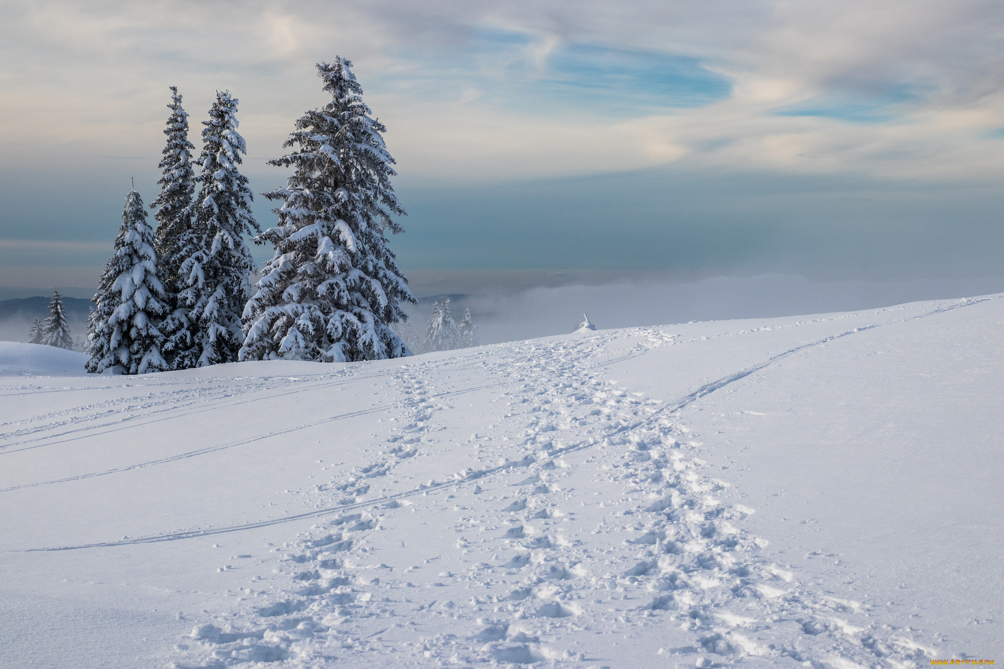 природа, зима, снег