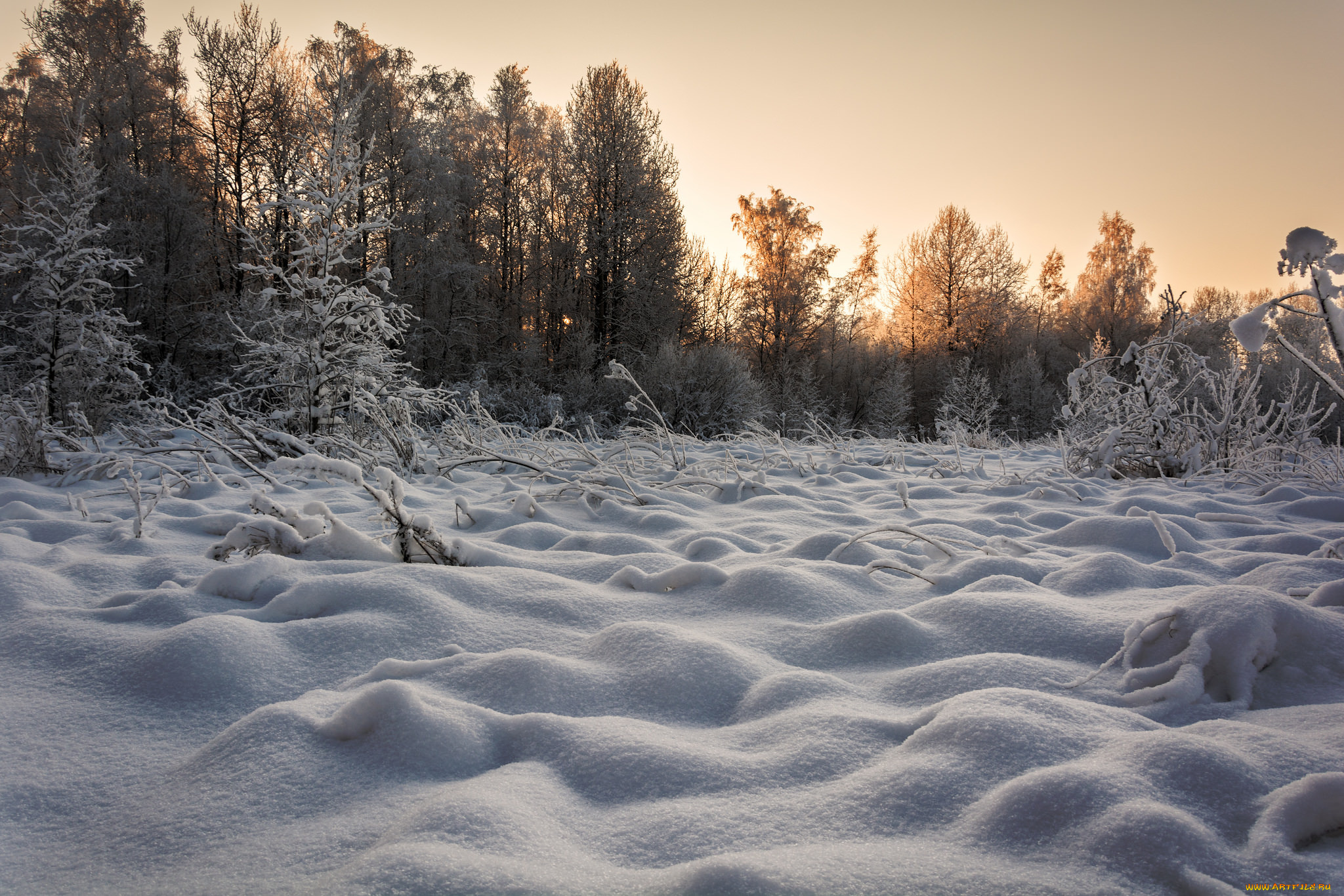 природа, зима, снег