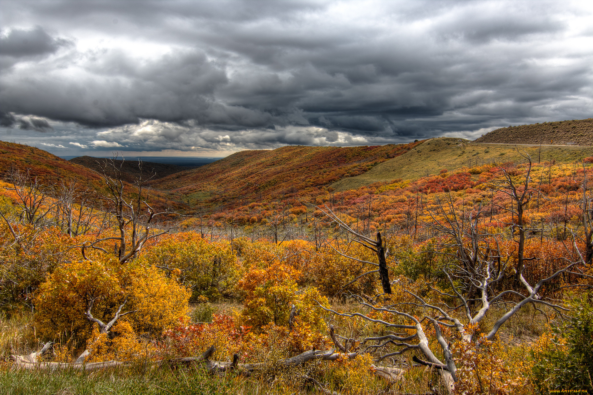 природа, пейзажи, простор