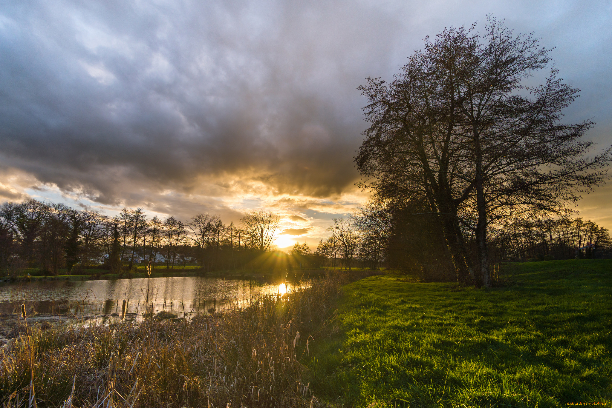 природа, реки, озера, река, лес