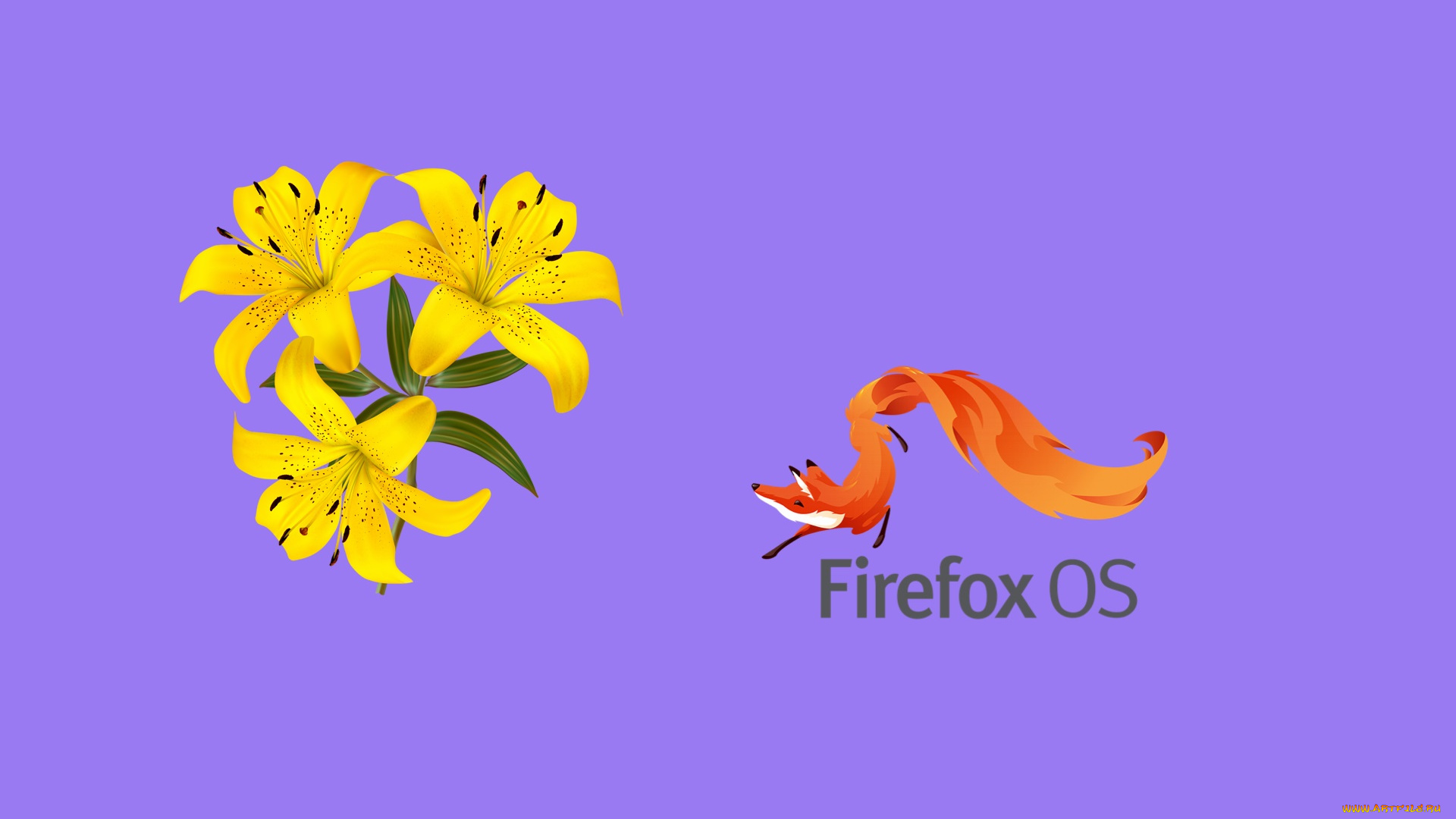 компьютеры, mozilla, firefox, фон, логотип