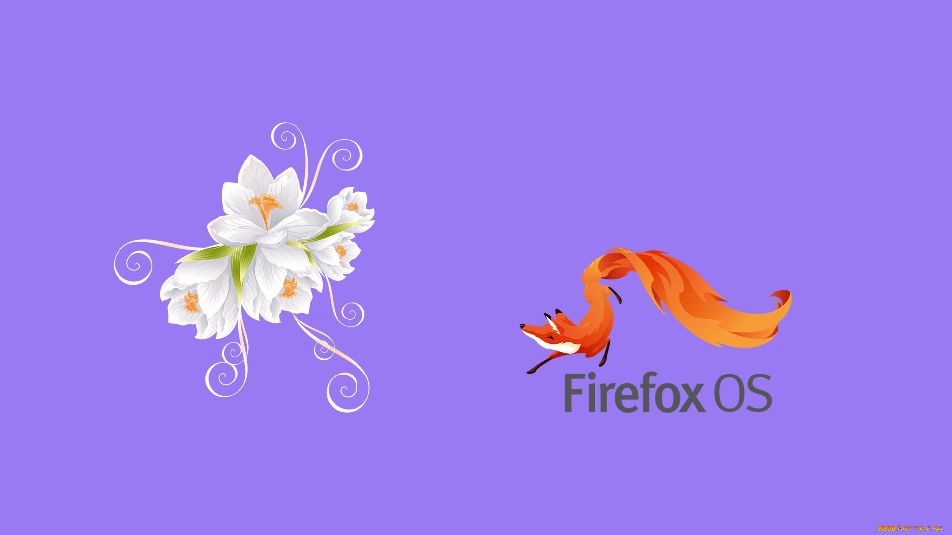 компьютеры, mozilla, firefox, фон, логотип