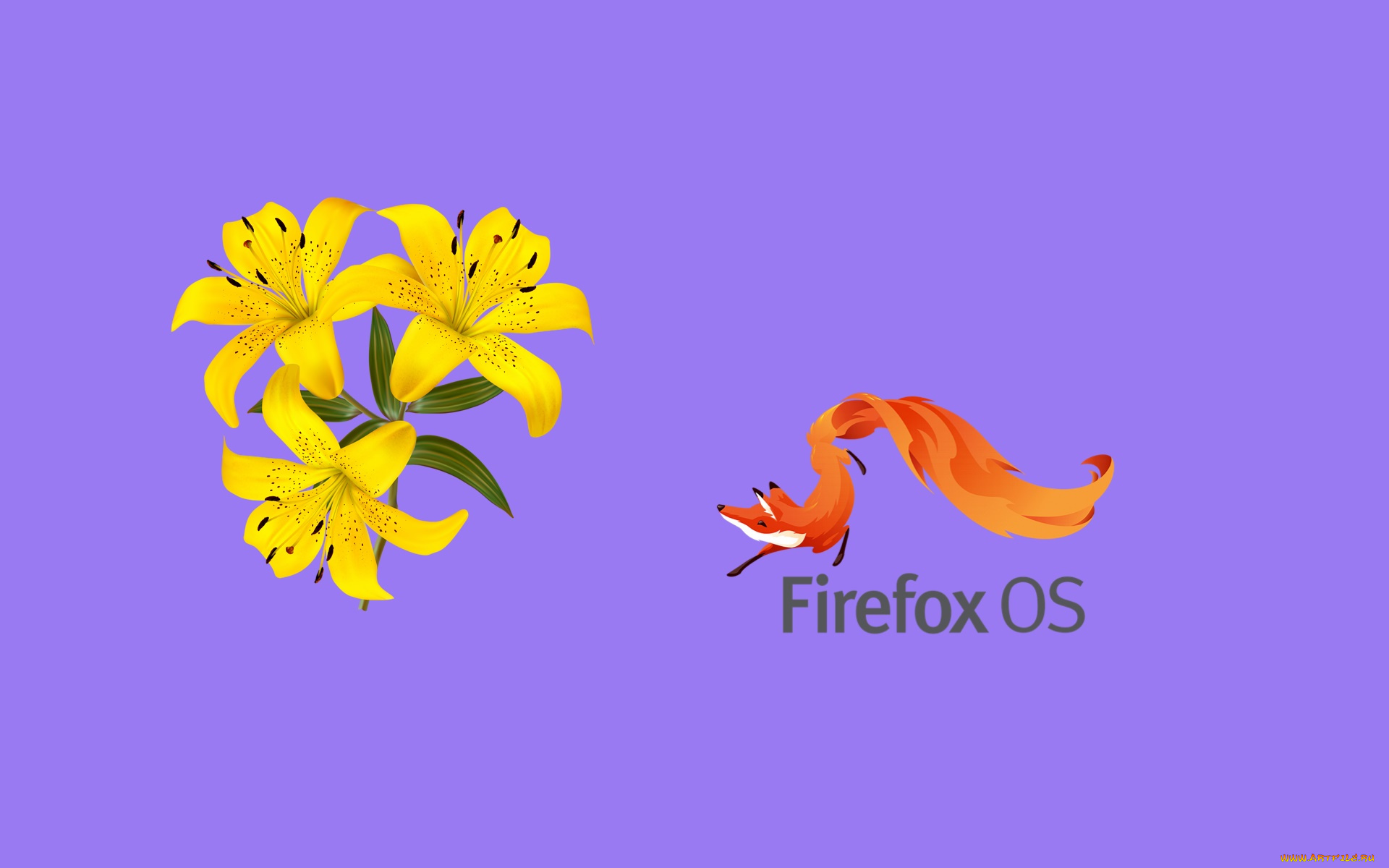 компьютеры, mozilla, firefox, фон, логотип