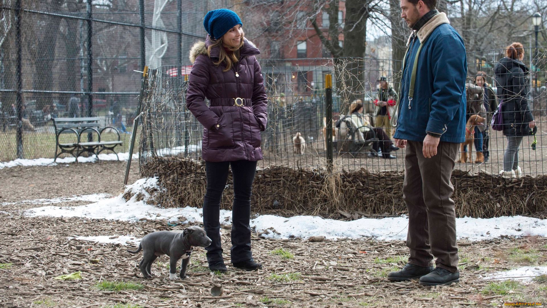 кино, фильмы, the, drop, the, drop