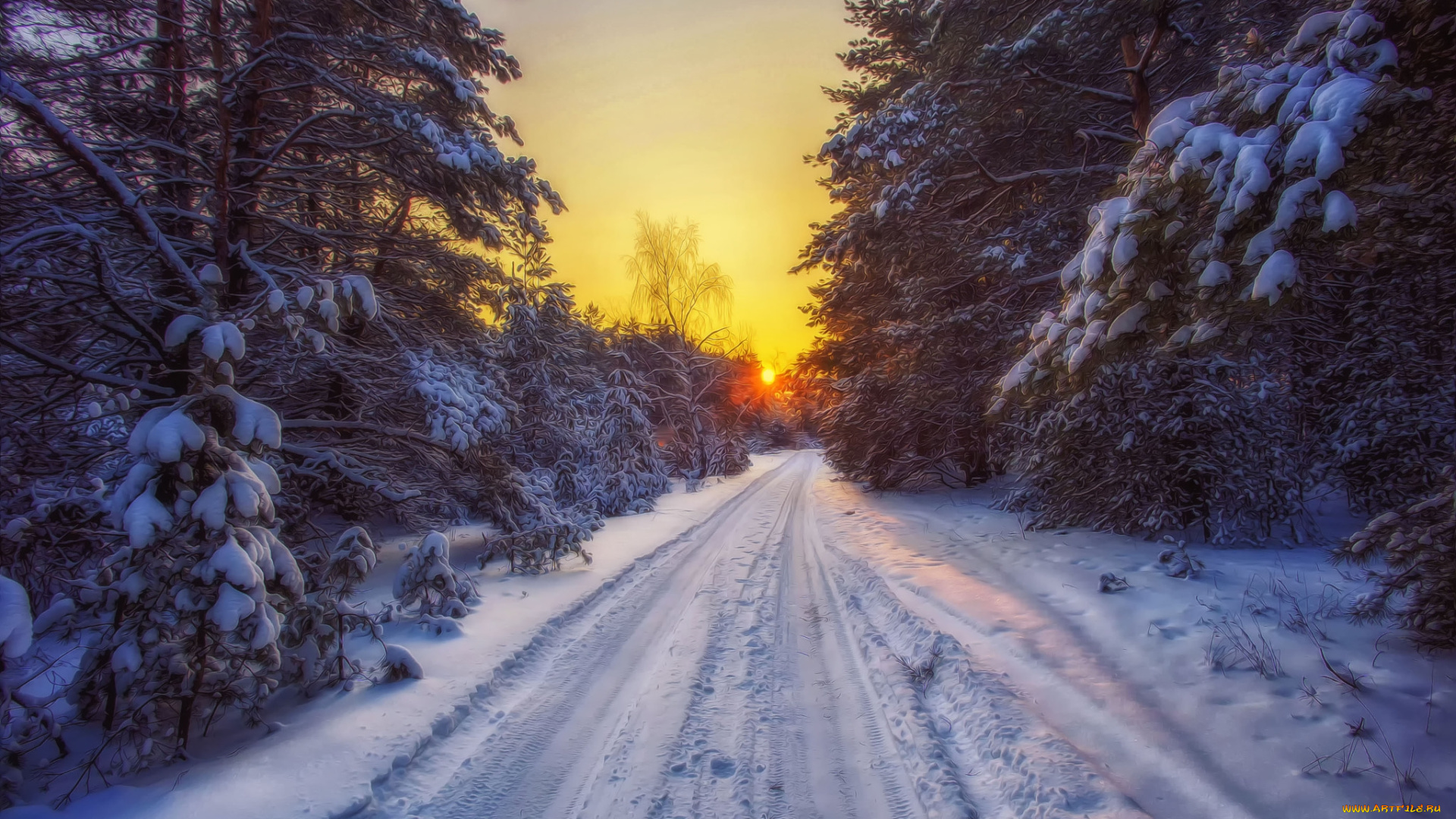 природа, дороги, снег, лес, дорога