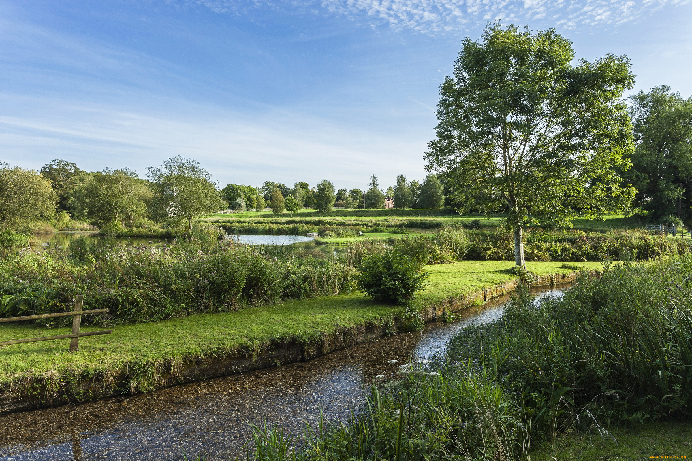 природа, реки, озера, небо, лето, река, англия, деревья