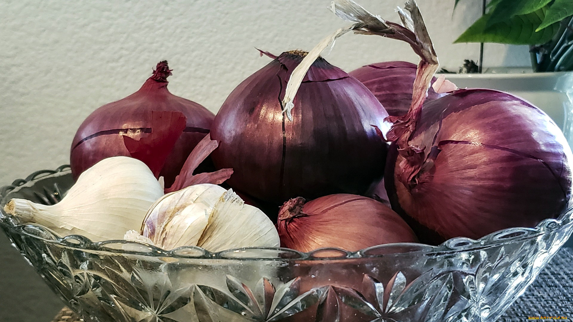 еда, овощи, чеснок, лук