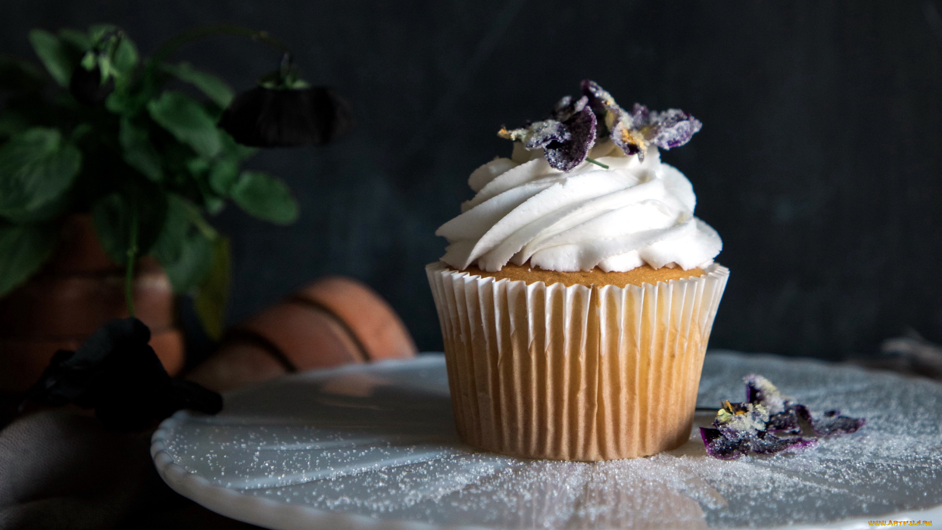 еда, пирожные, , кексы, , печенье, капкейк, кекс