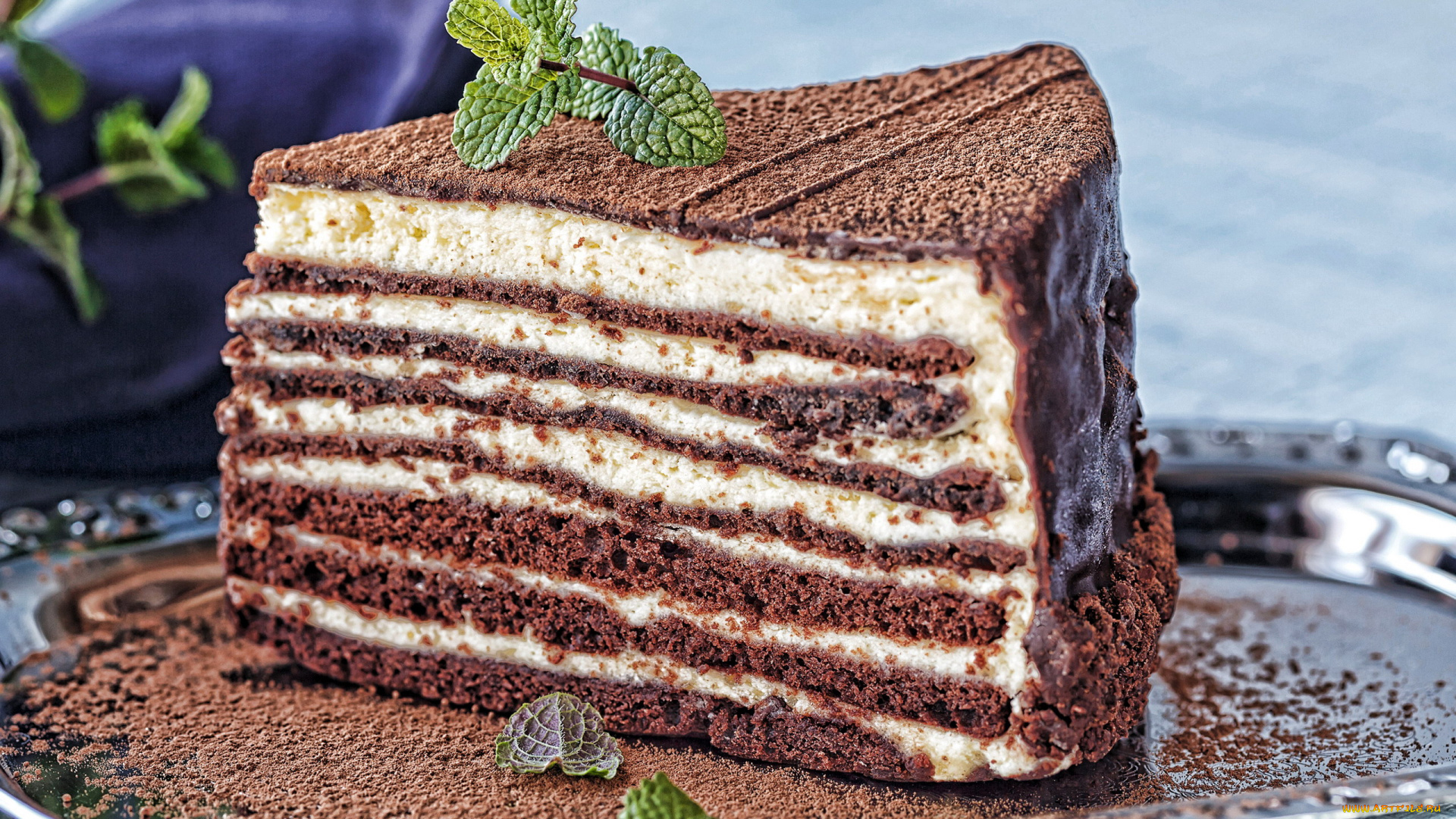 еда, торты, мята, торт, шоколадный