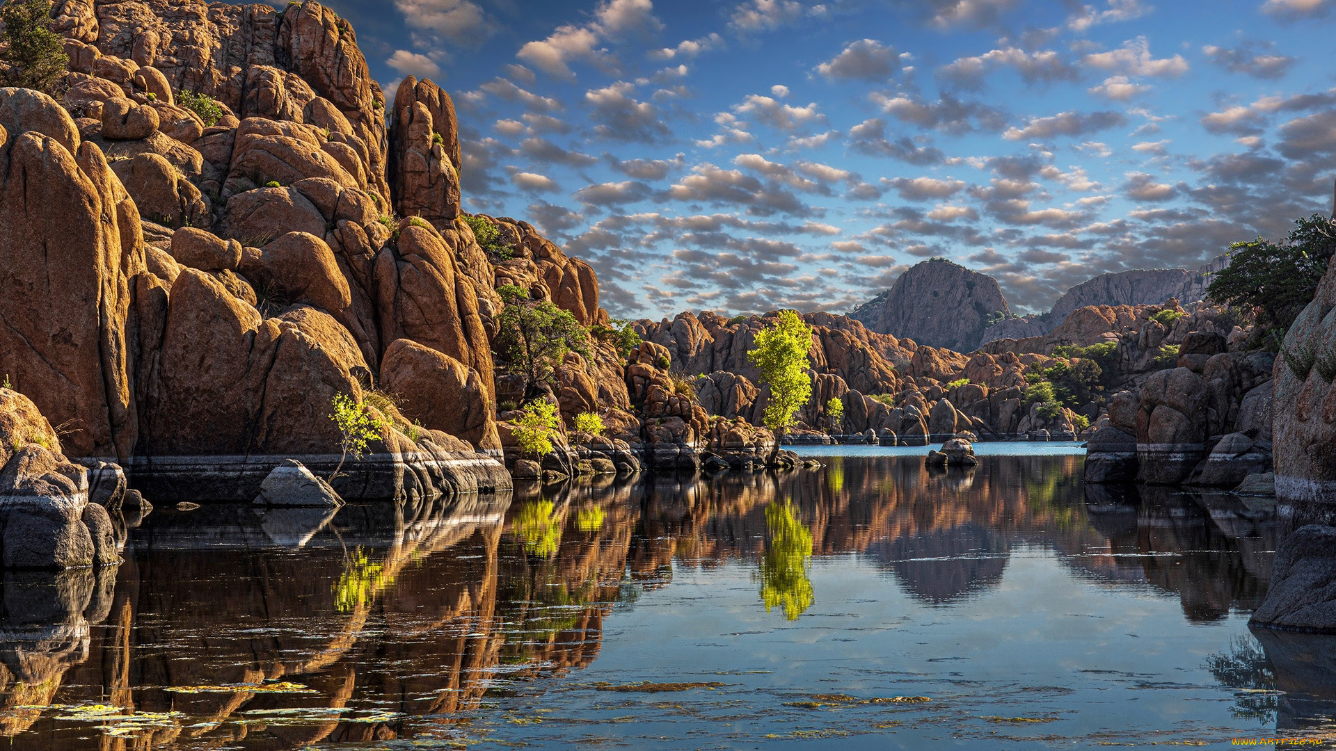 природа, побережье, море, скалы