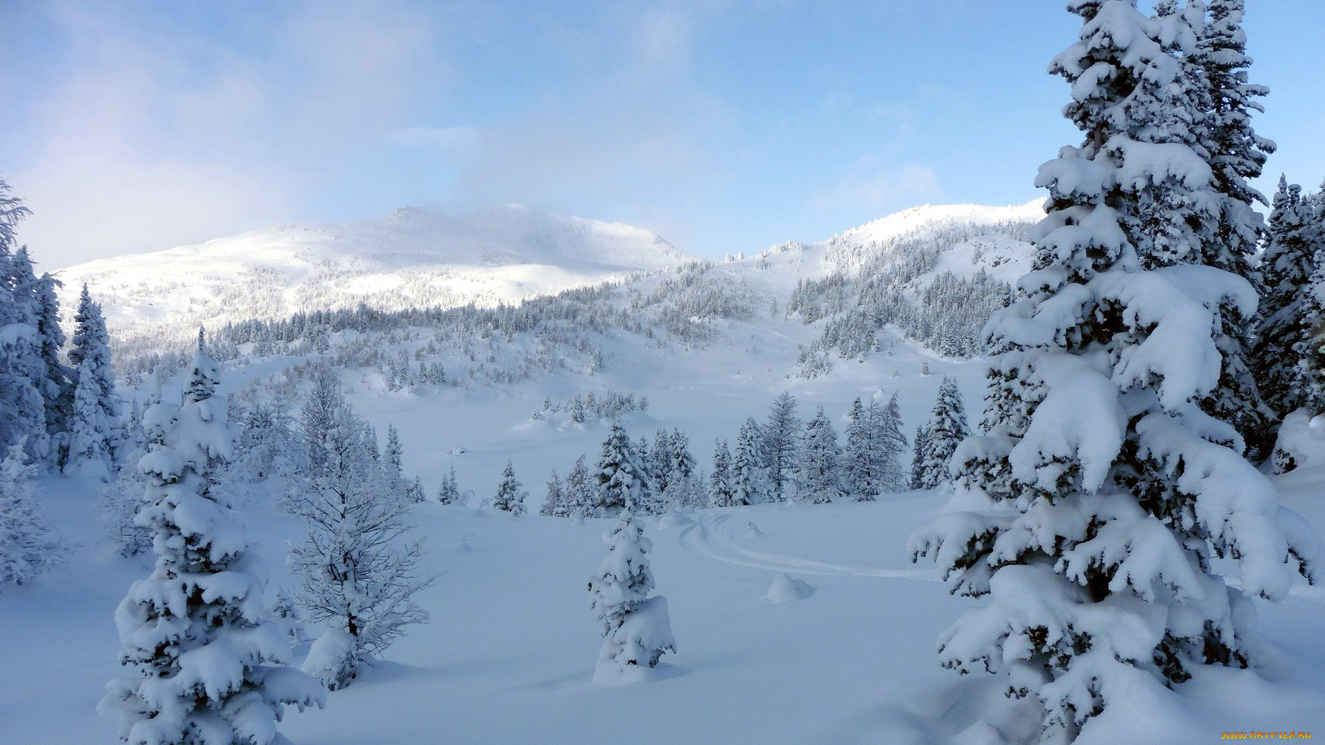 природа, зима, снег, сугробы