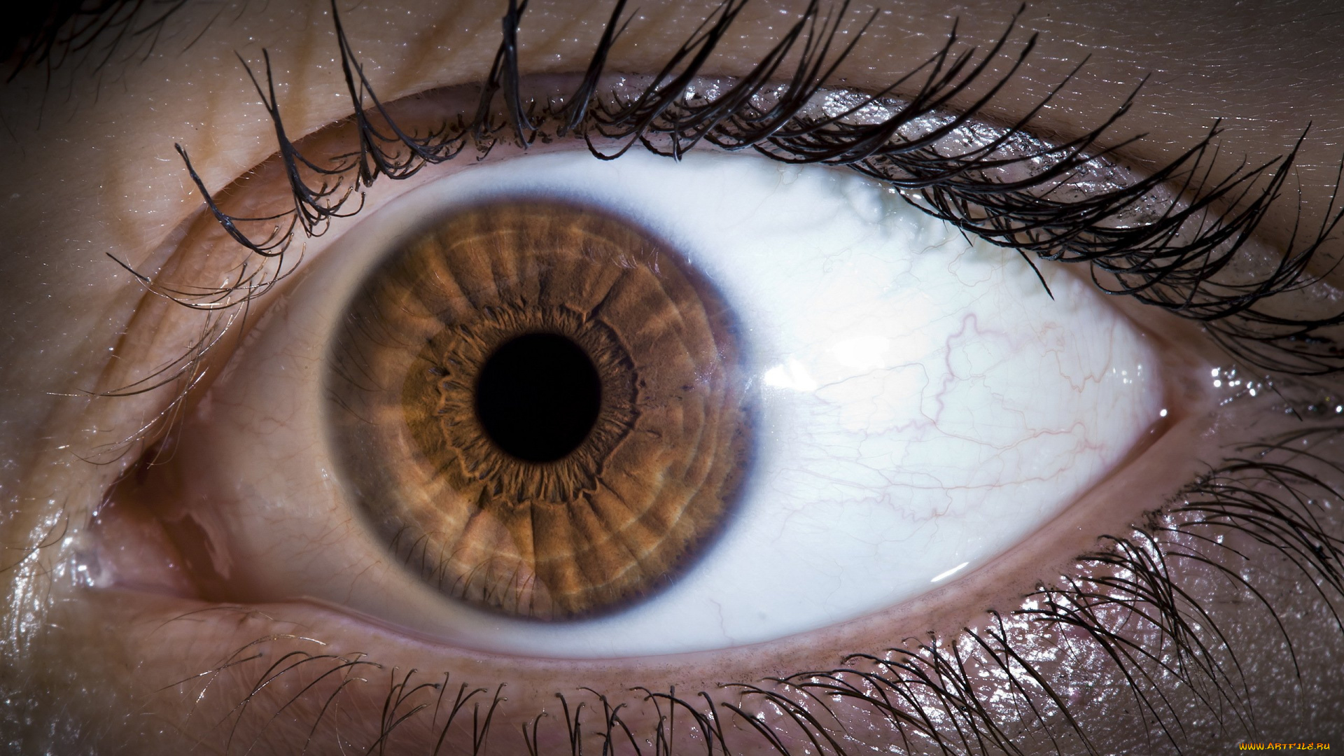 разное, глаза