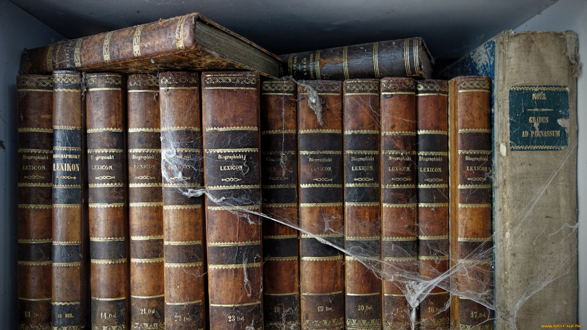 разное, канцелярия, , книги, паутина, книги