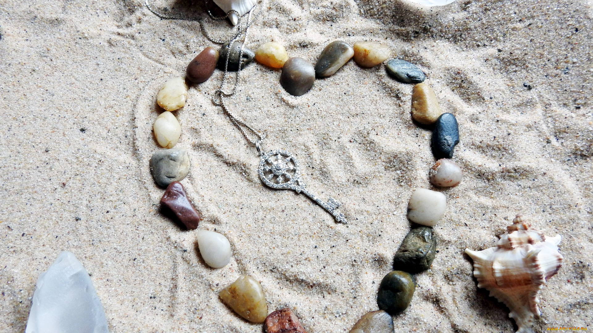 разное, ракушки, , кораллы, , декоративные, и, spa-камни