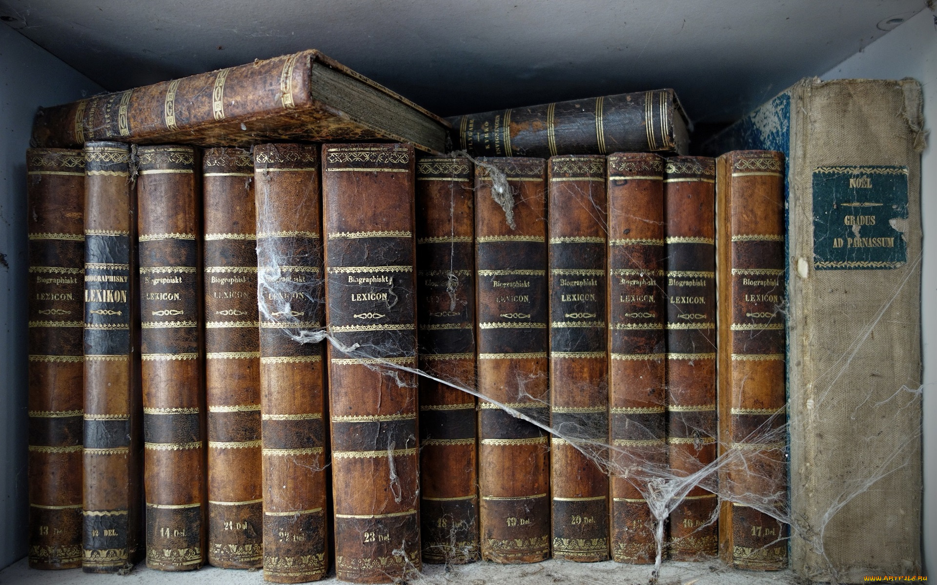 разное, канцелярия, , книги, паутина, книги