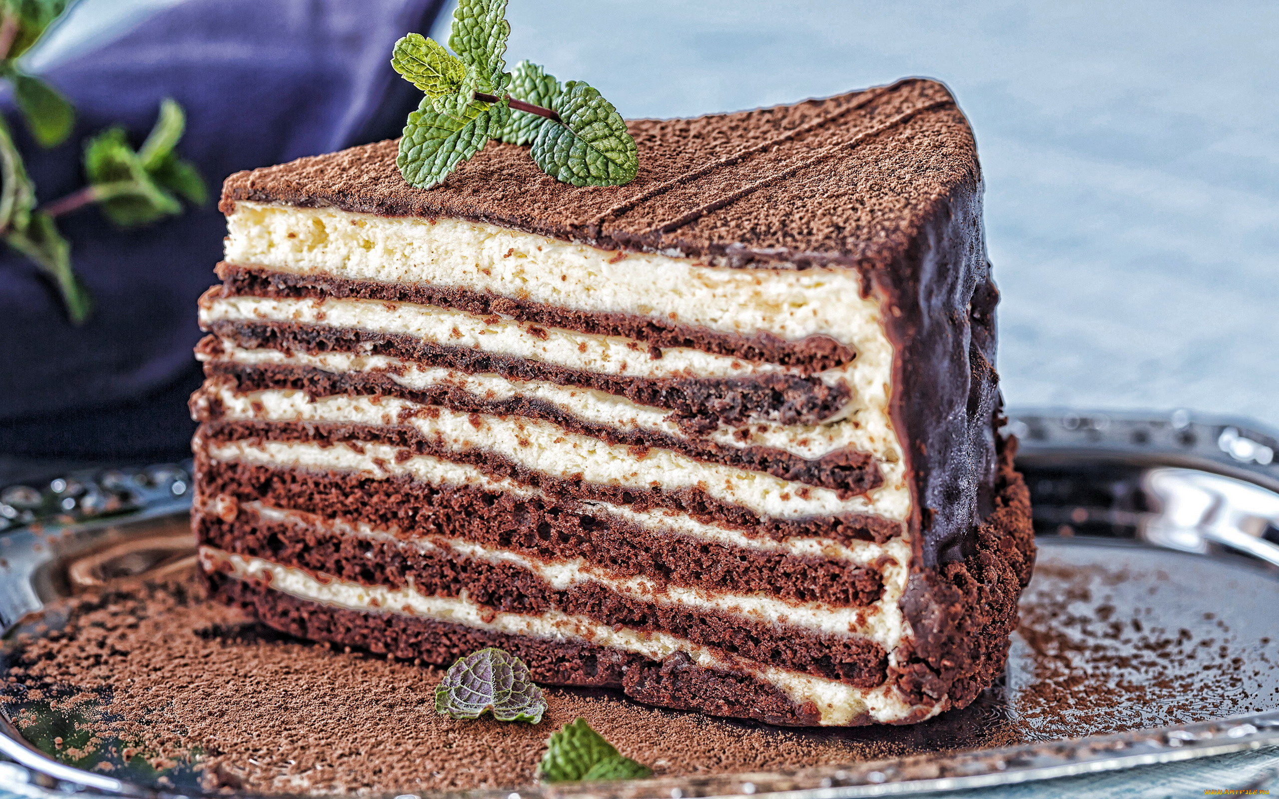 еда, торты, мята, торт, шоколадный