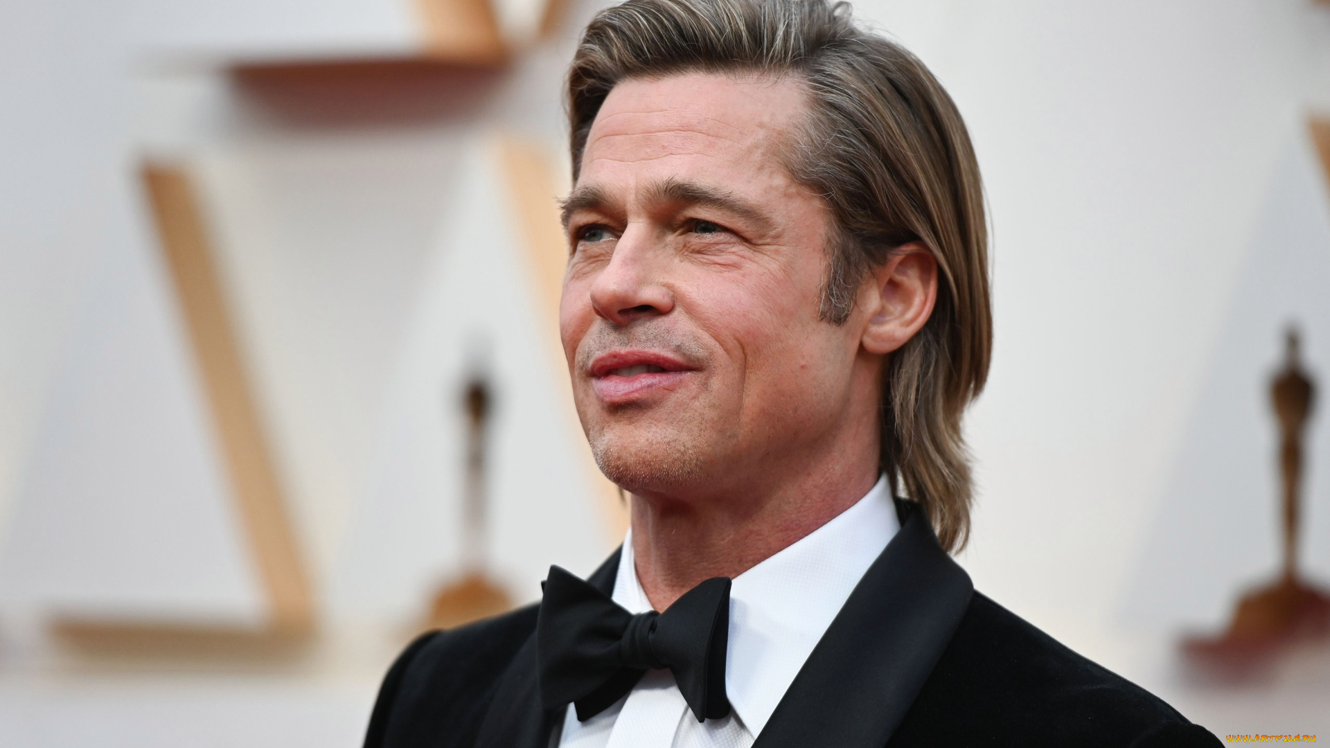 мужчины, brad, pitt, актер, лицо, костюм, бабочка