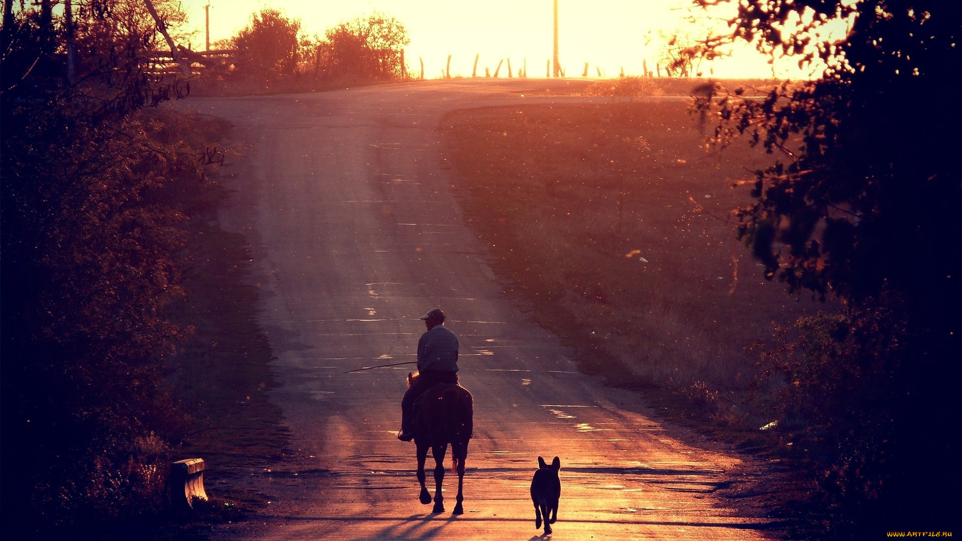 разное, люди, всадник, собака, дорога