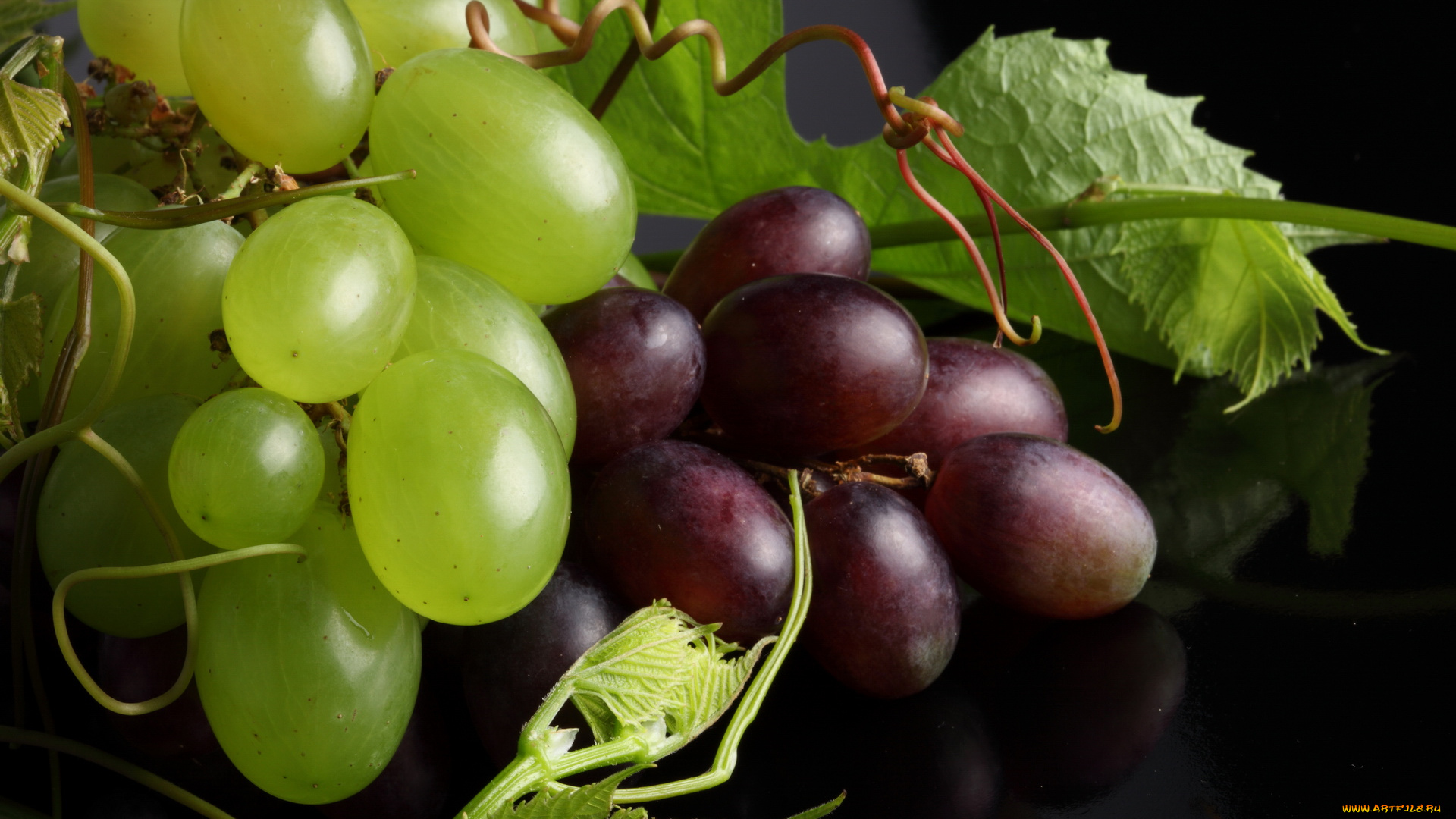 еда, виноград, ягоды, листья, макро