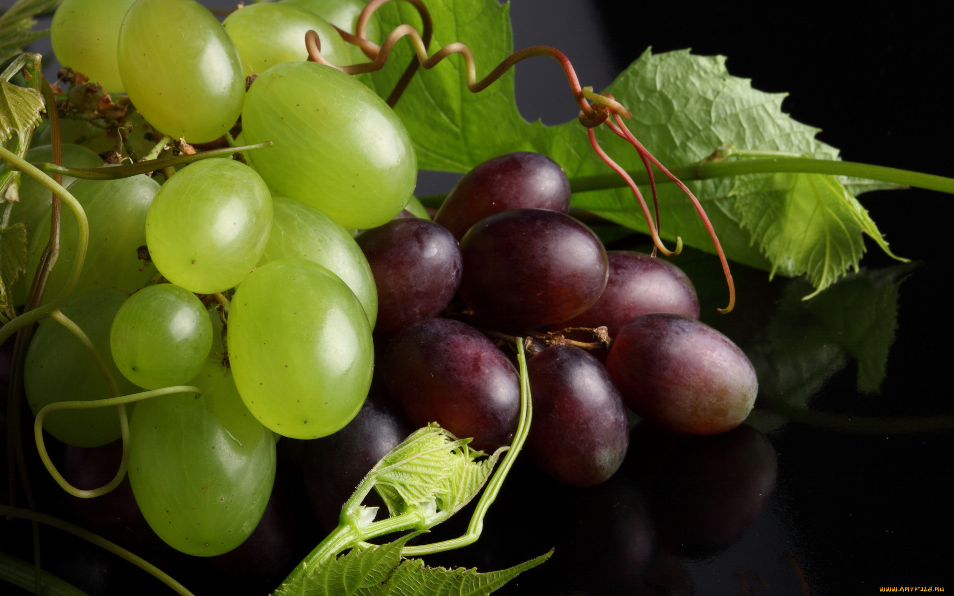 еда, виноград, ягоды, листья, макро