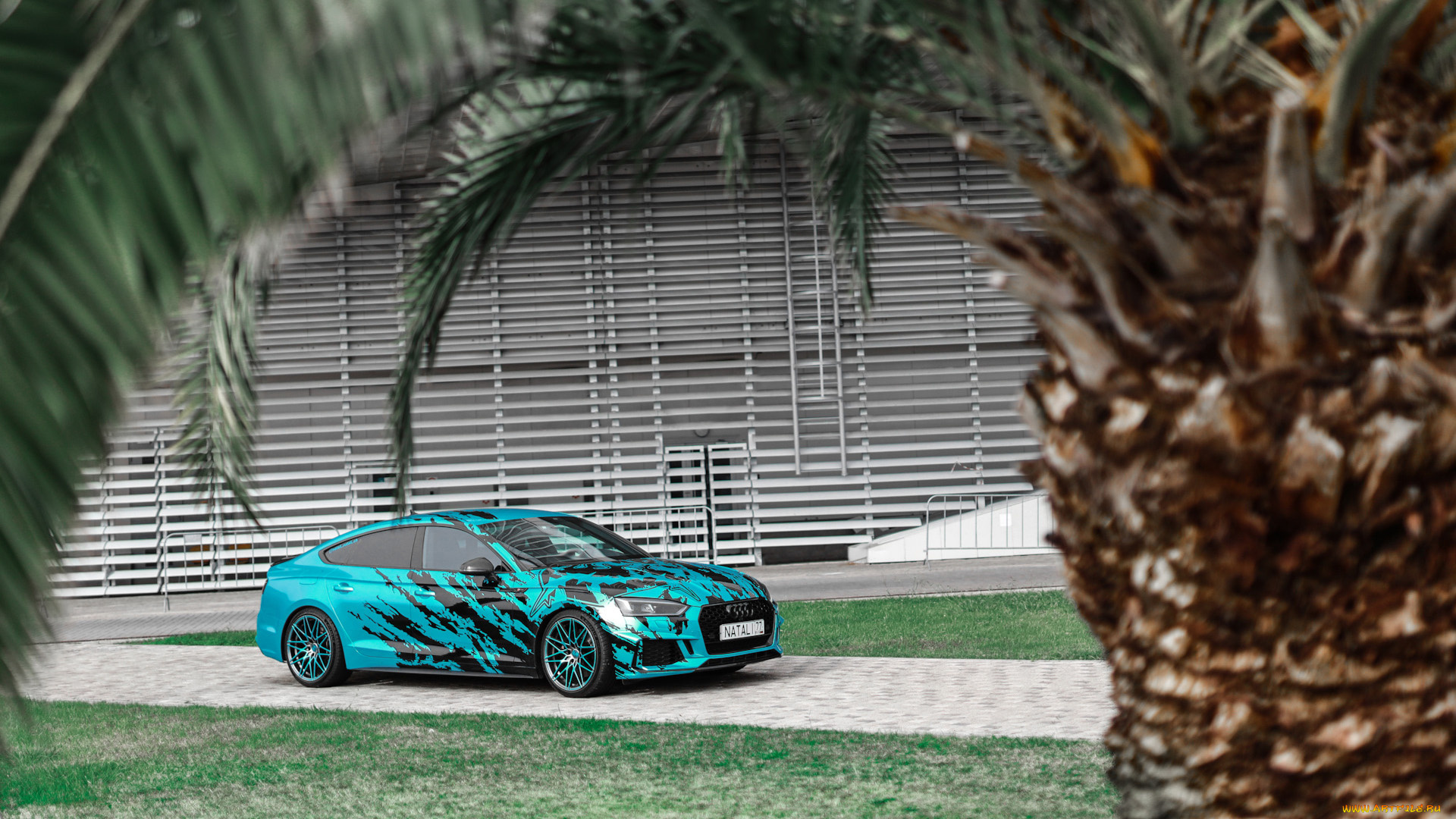 автомобили, audi, a5