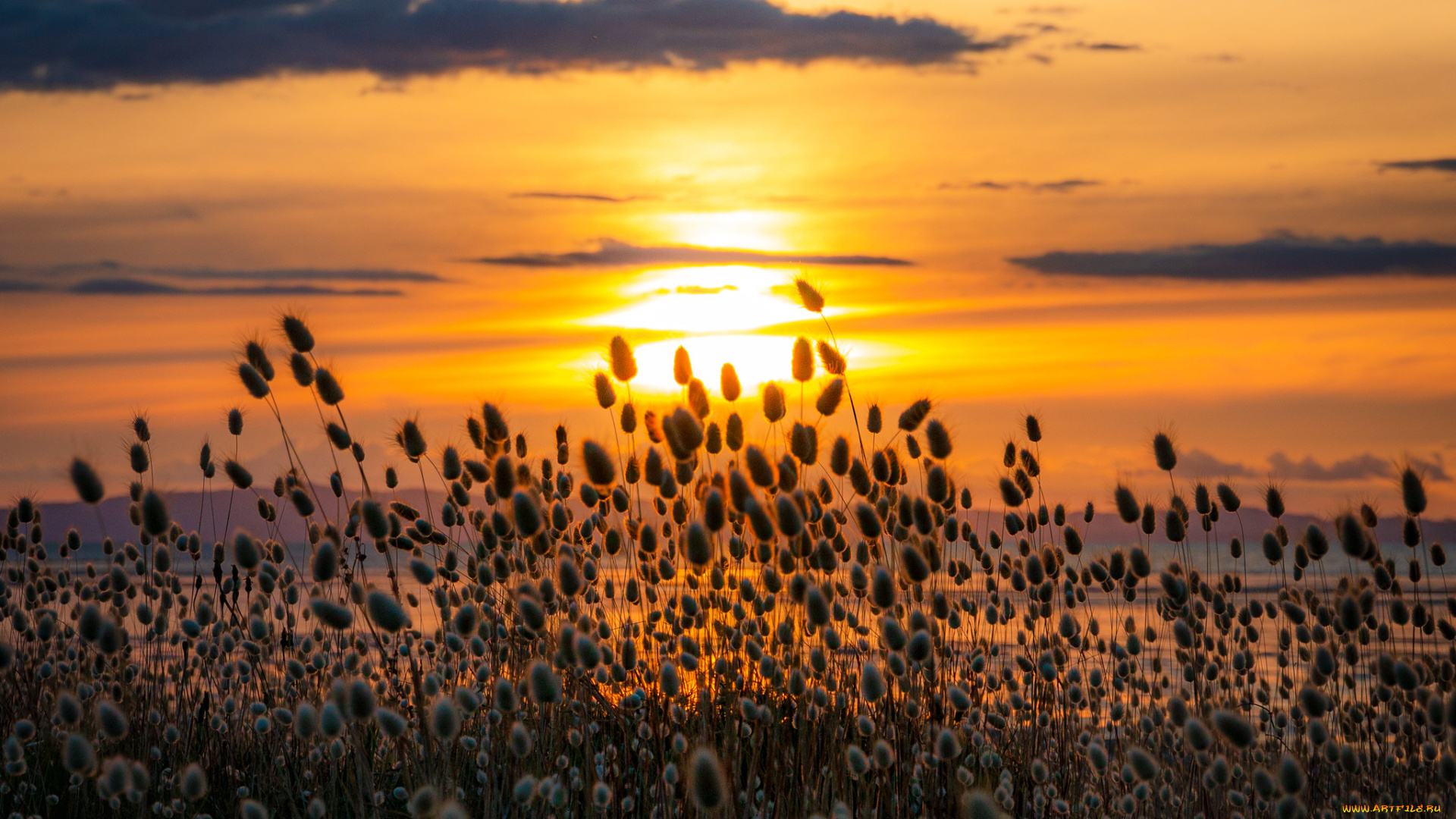 природа, восходы, закаты, закат