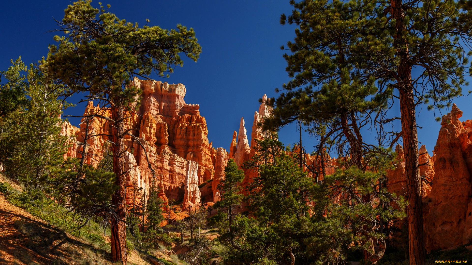 bryce, canyon, national, park, , utah, природа, горы, bryce, canyon, national, park