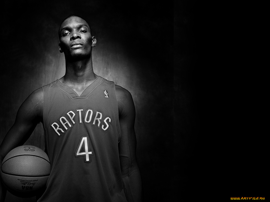 bosh, спорт, nba