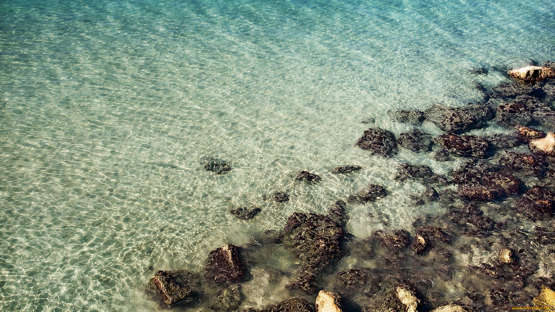 природа, побережье