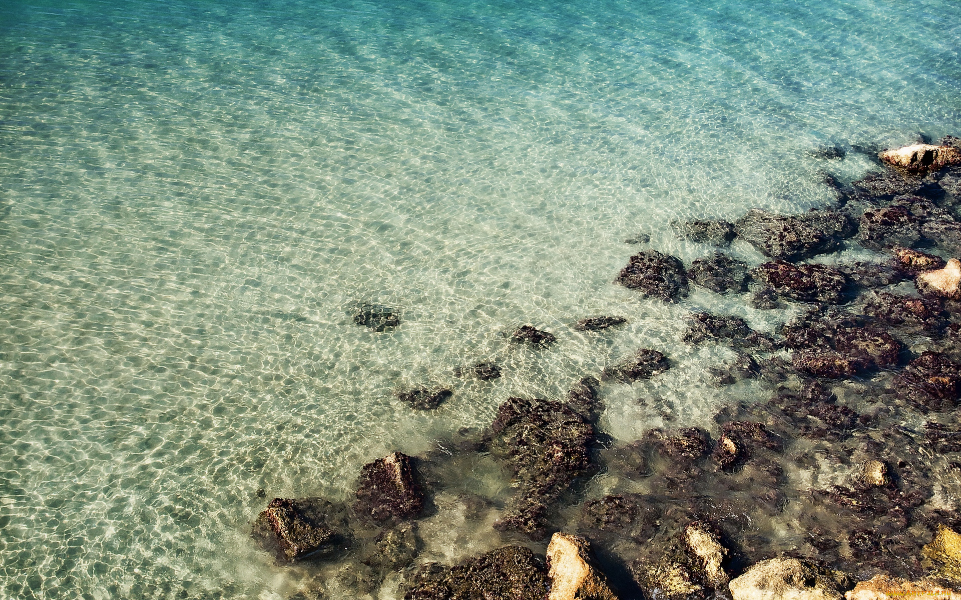 природа, побережье