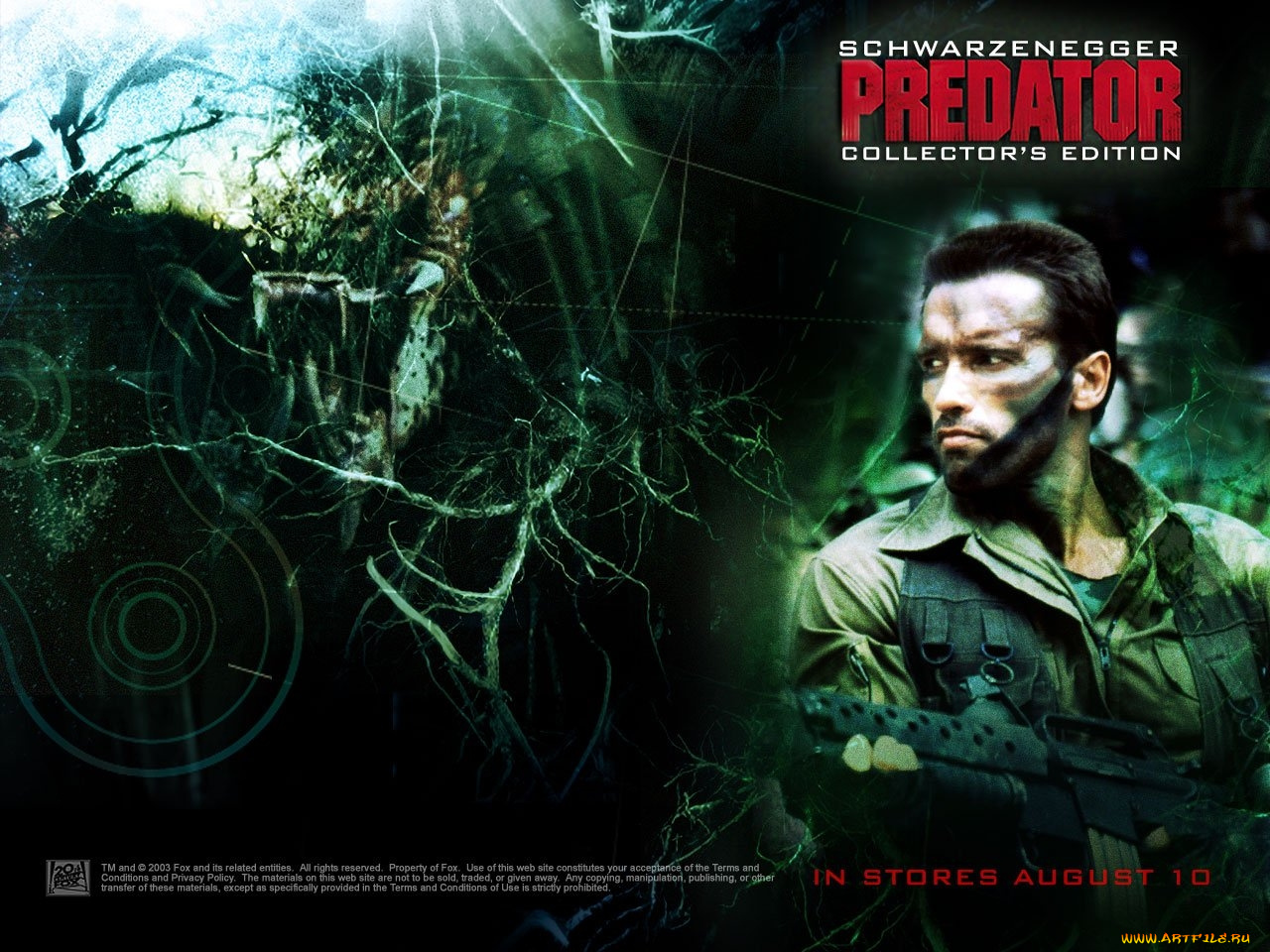 predator, кино, фильмы