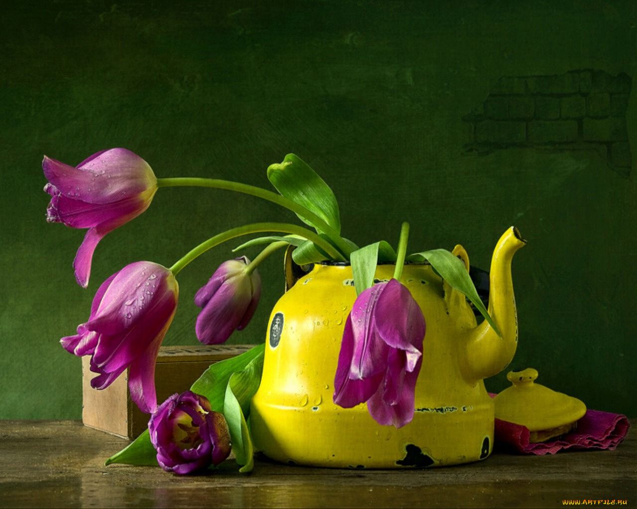 цветы, тюльпаны