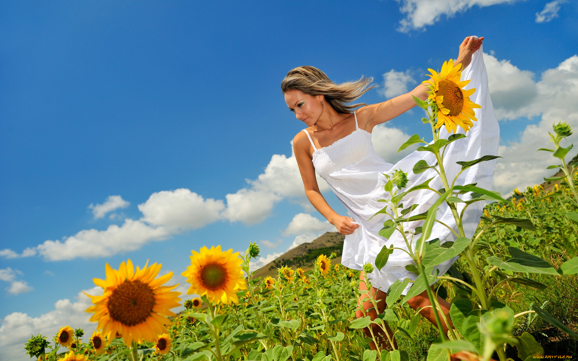 -Unsort, Блондинки, девушки, unsort, блондинки, подсолнухи