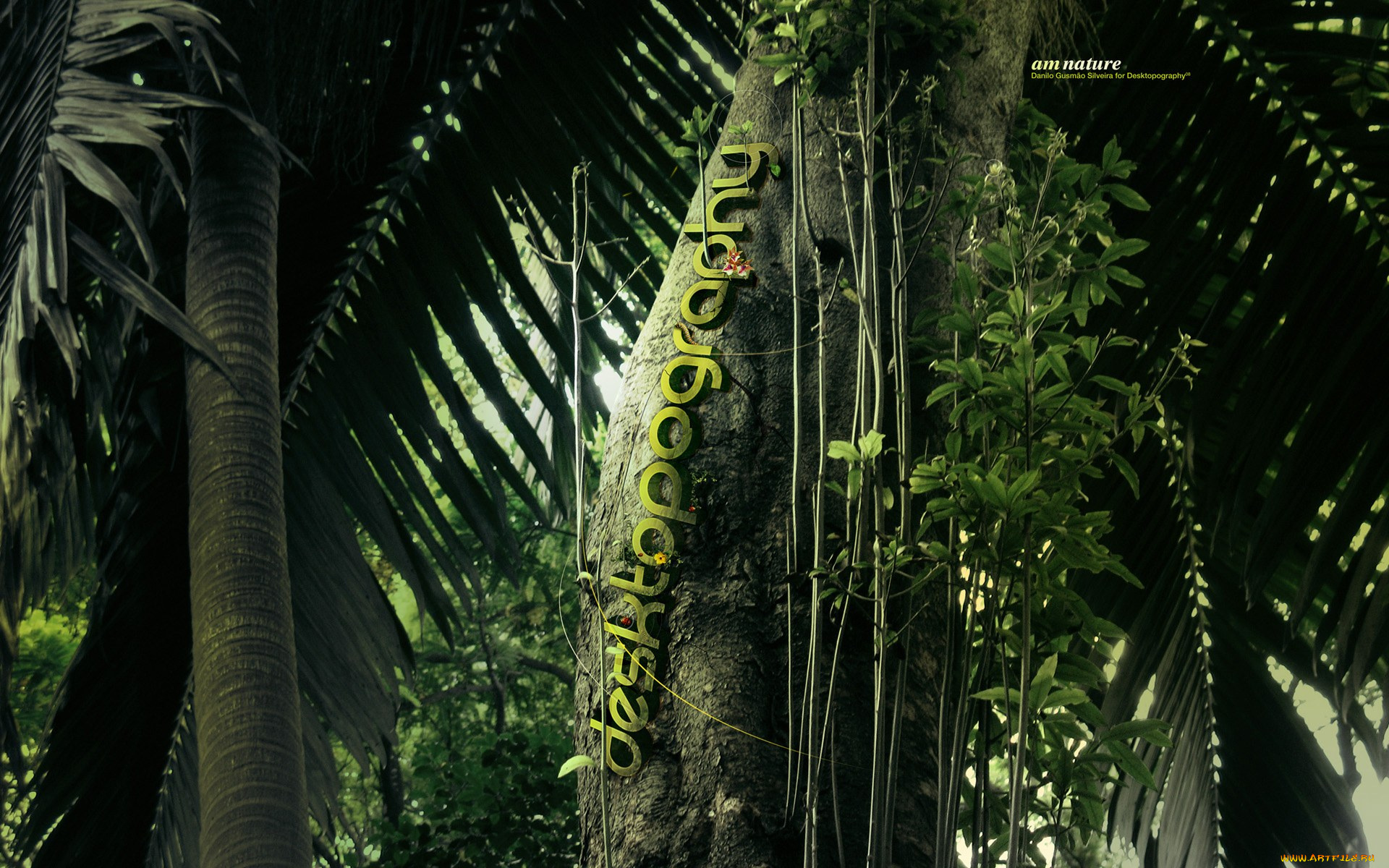 природа, лес