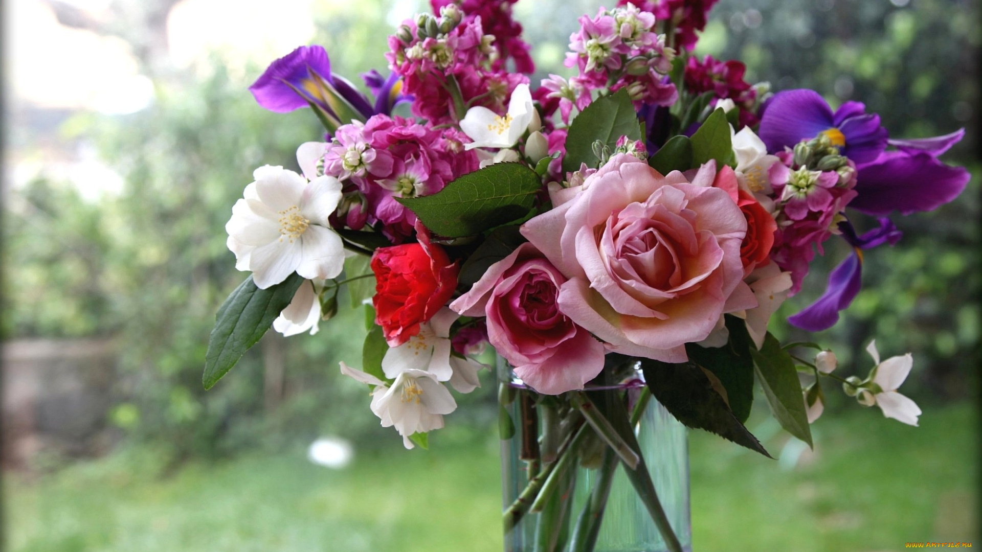 цветы, букеты, композиции, левкой, ирис, жасмин, розы