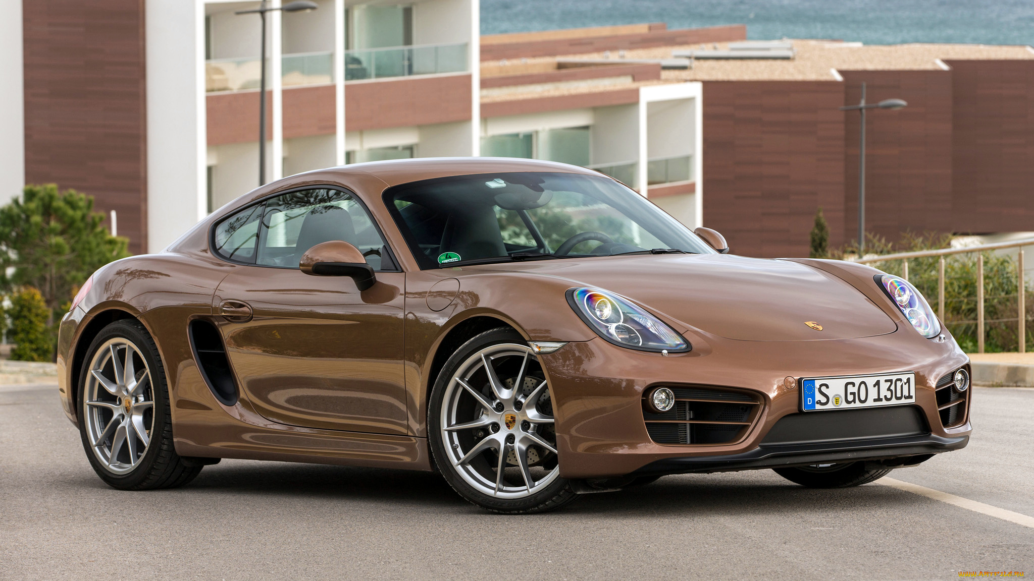 porsche, cayman, автомобили, элитные, спортивные, германия