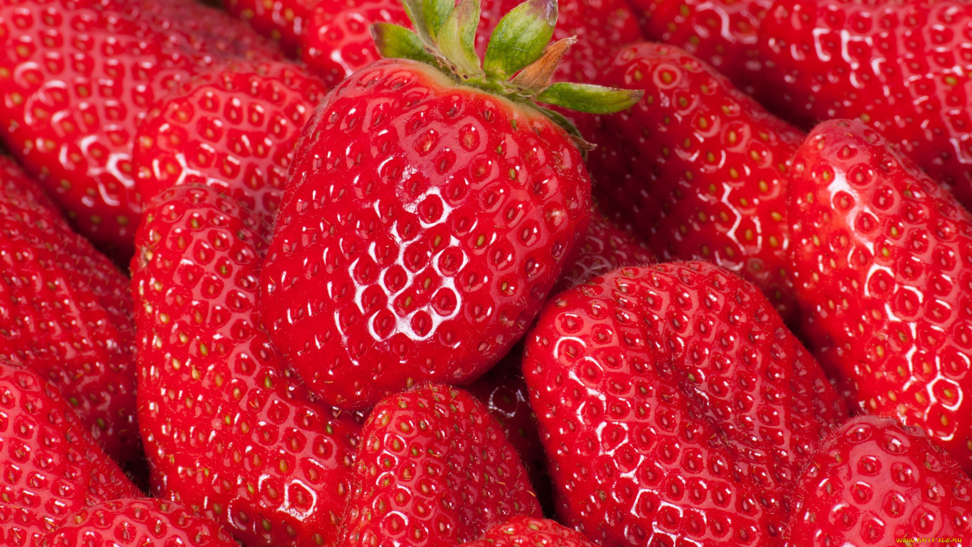 еда, клубника, , земляника, макро, ягоды