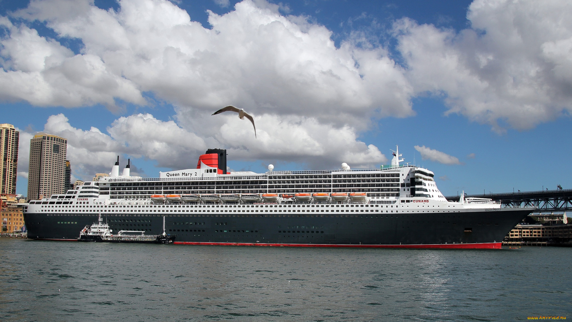 корабли, лайнеры, круиз