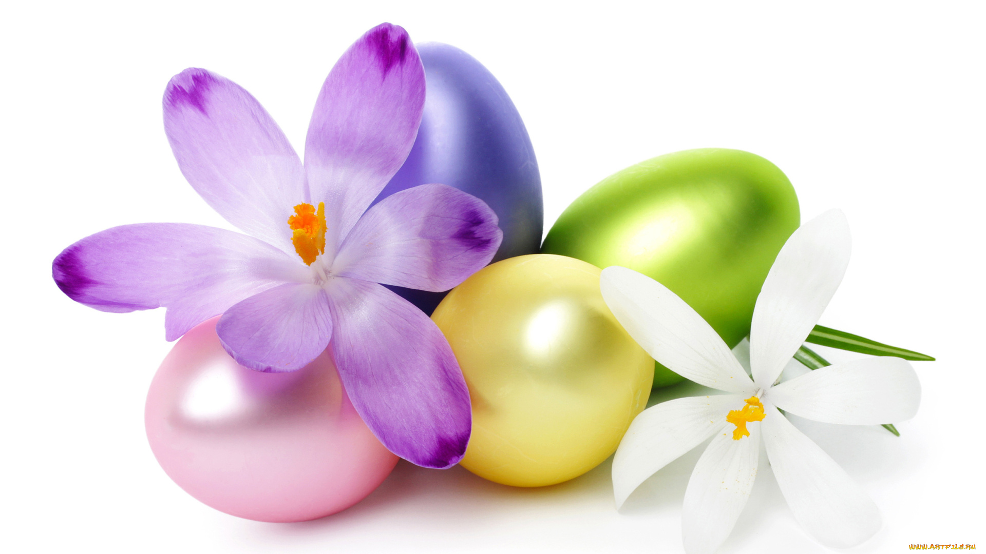 праздничные, пасха, крокусы, яйца