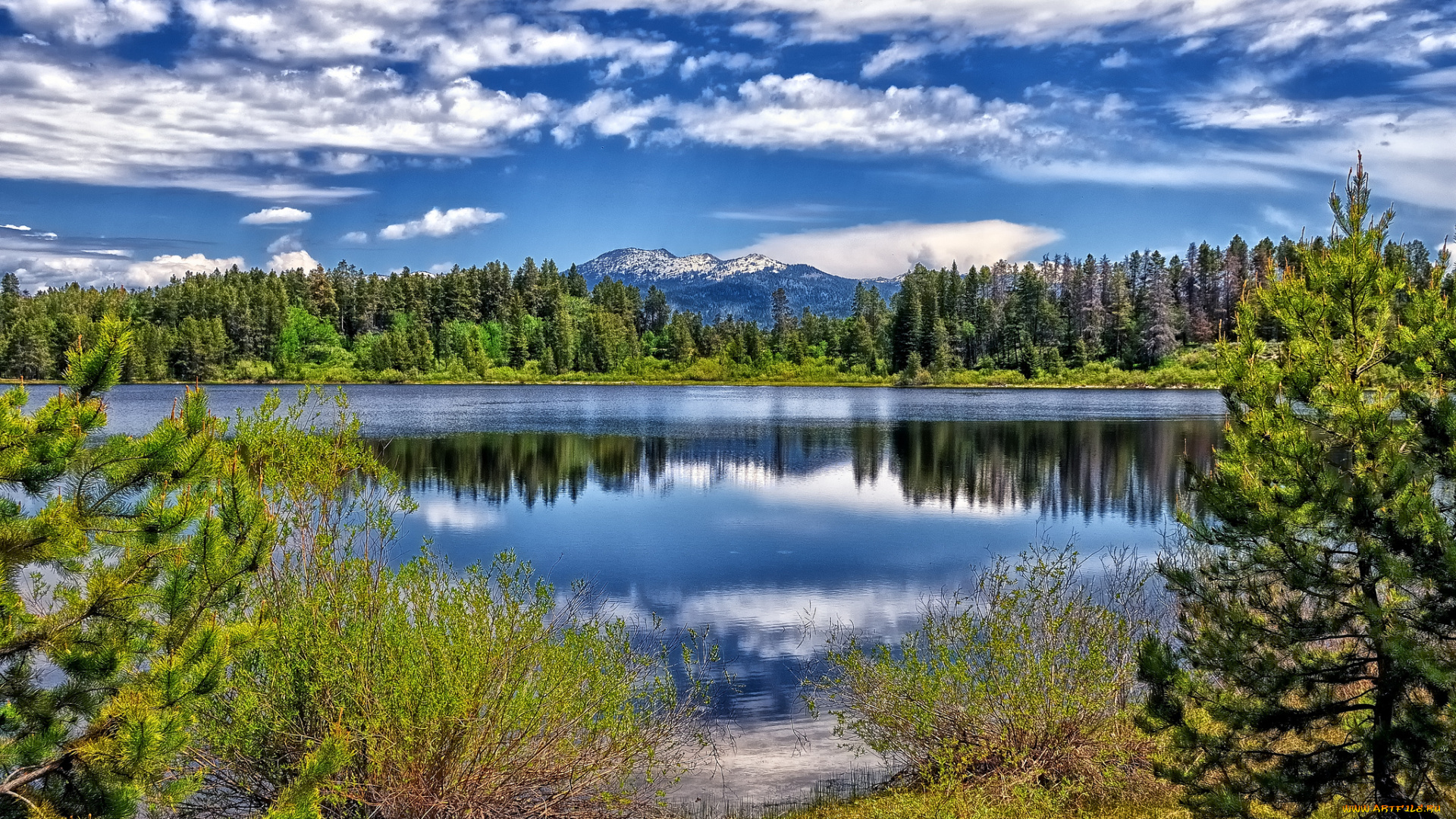 природа, реки, озера, лес, река, облака