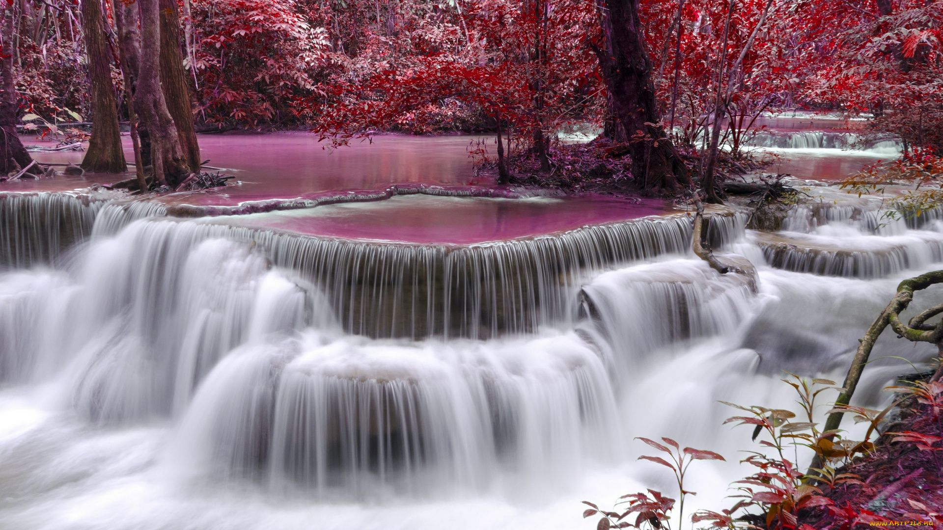природа, водопады, осень, розовый, водопад, деревья