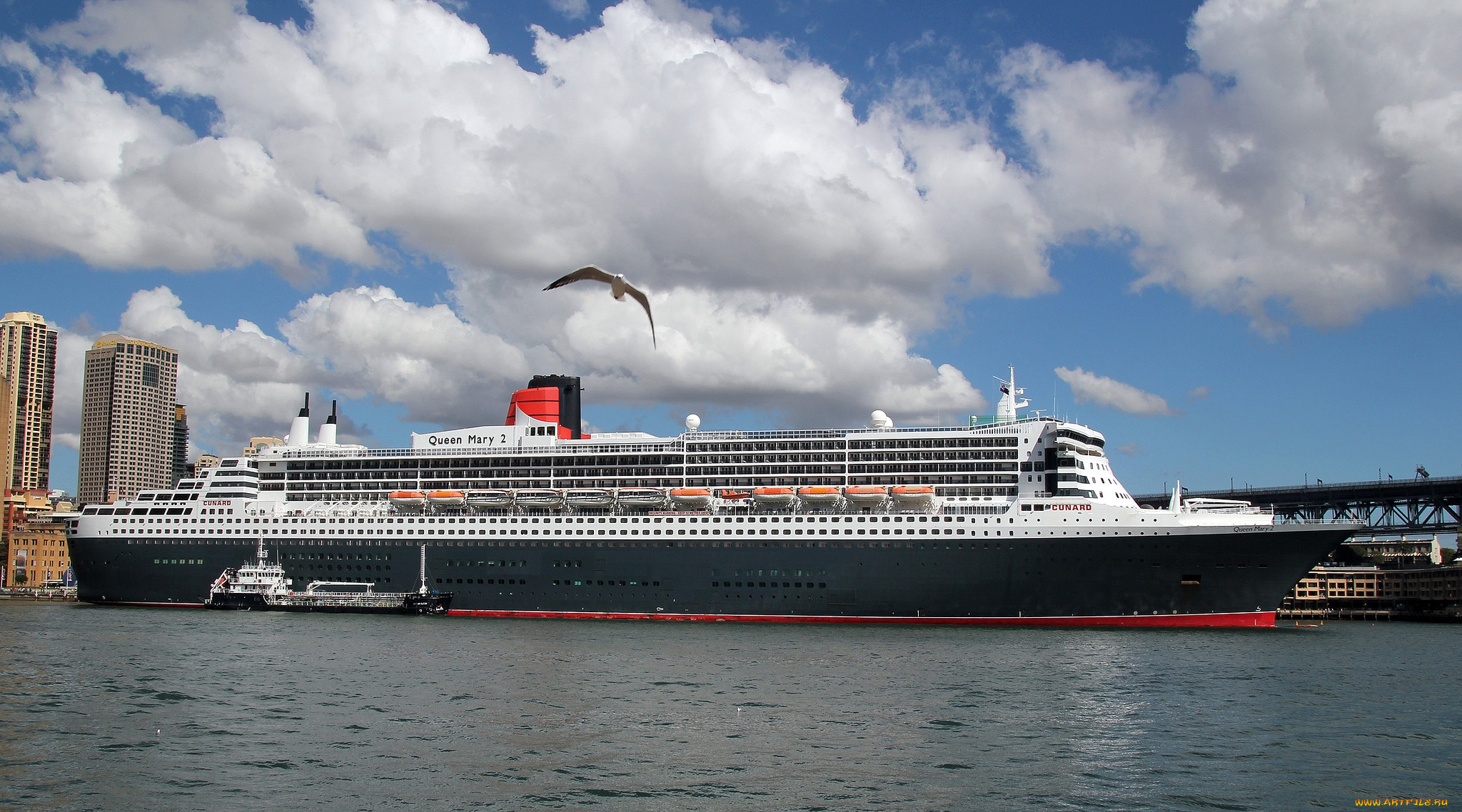 корабли, лайнеры, круиз