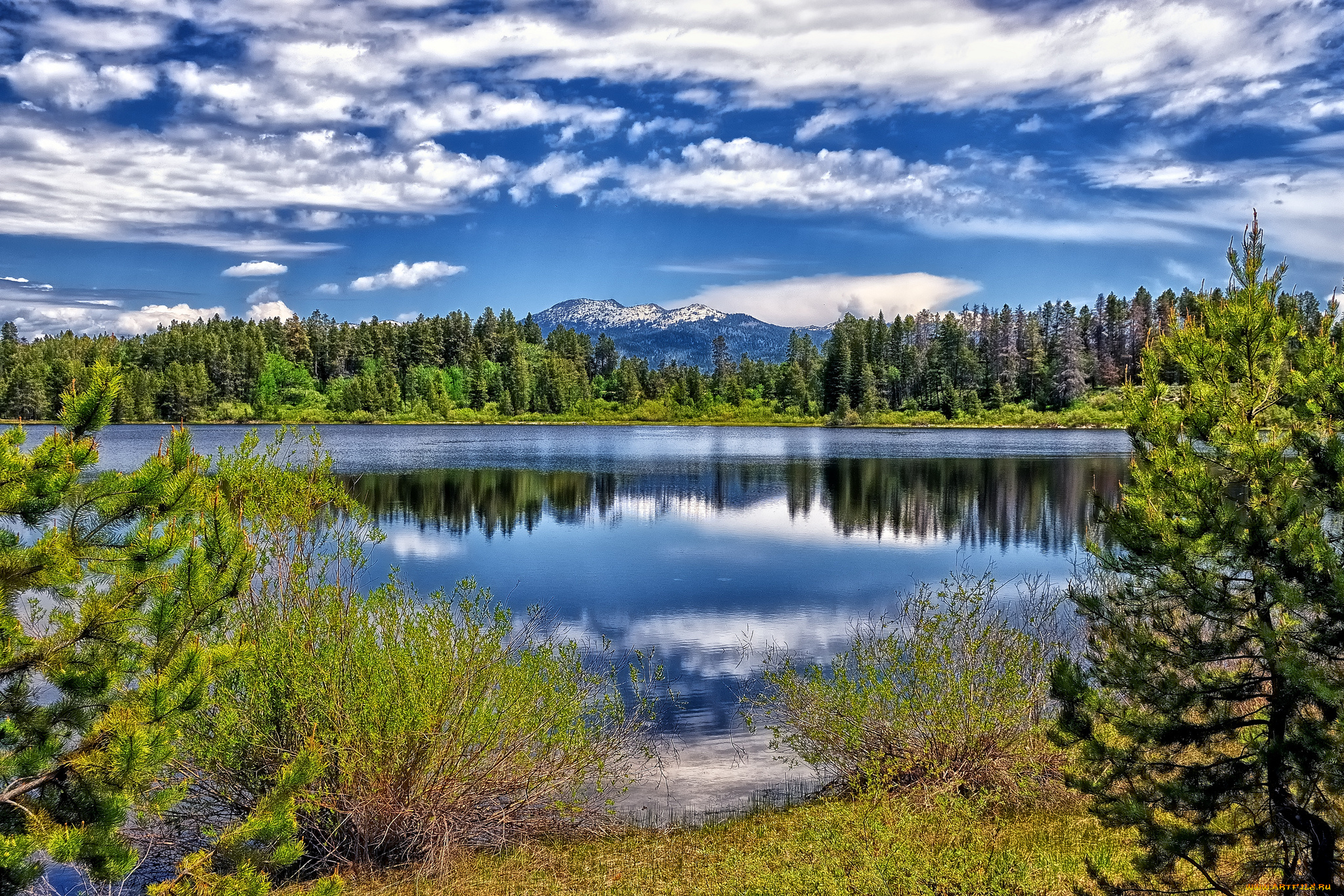 природа, реки, озера, лес, река, облака