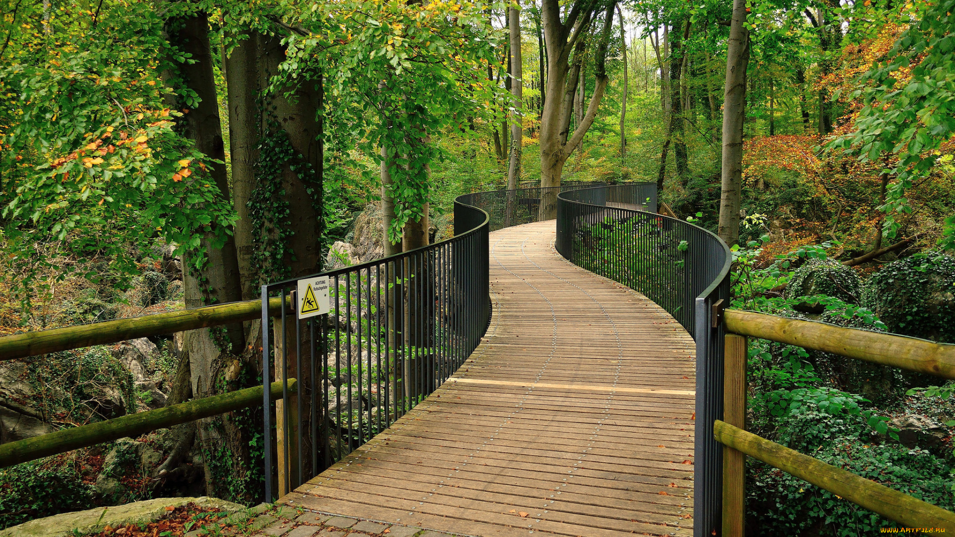 природа, дороги, тракт