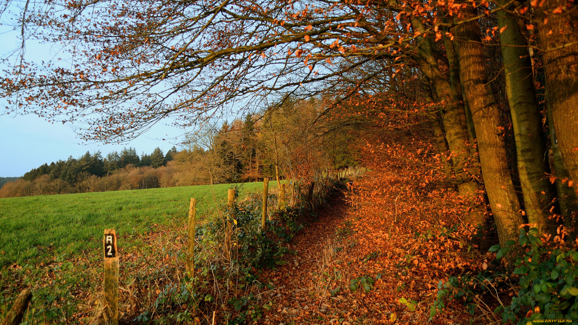 природа, дороги, тракт