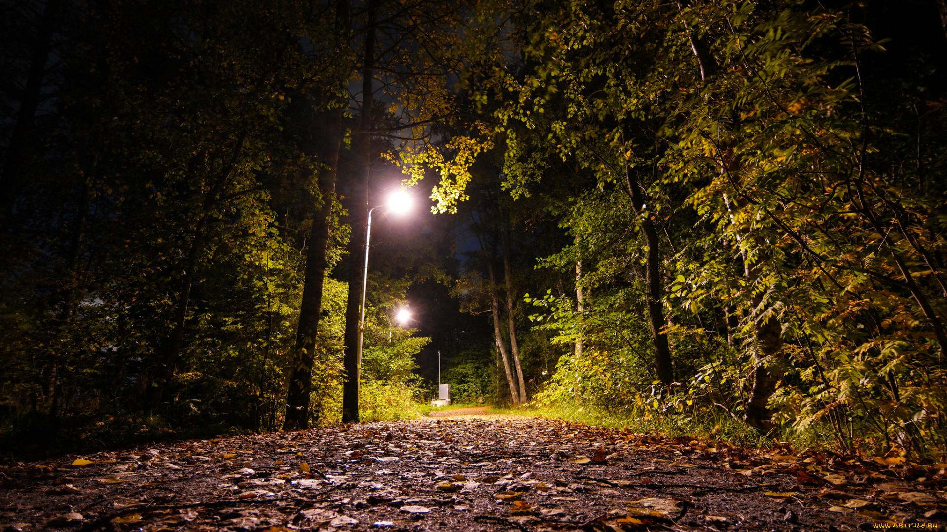 природа, дороги, тракт