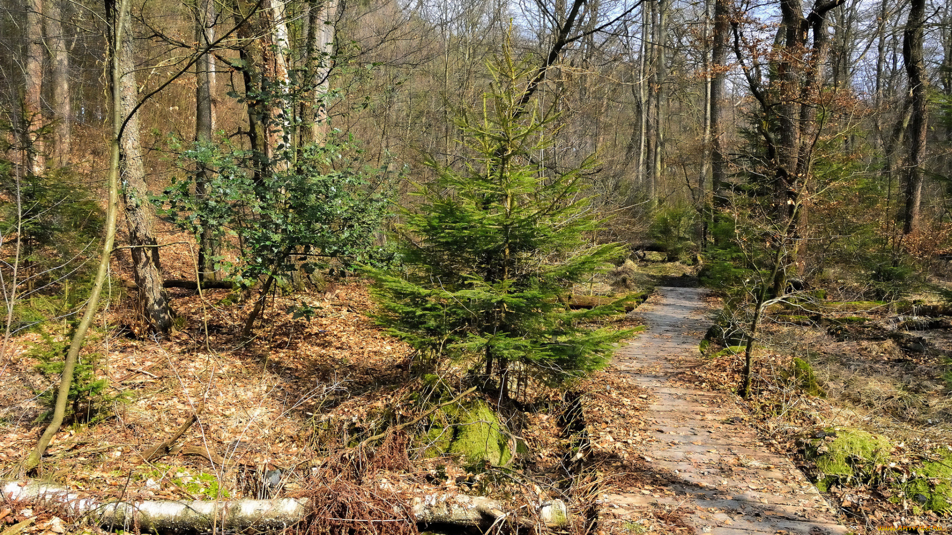 природа, дороги, тракт