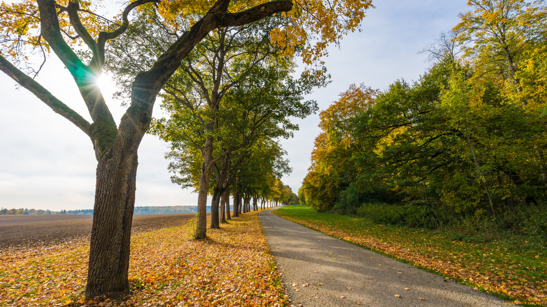 природа, дороги, тракт